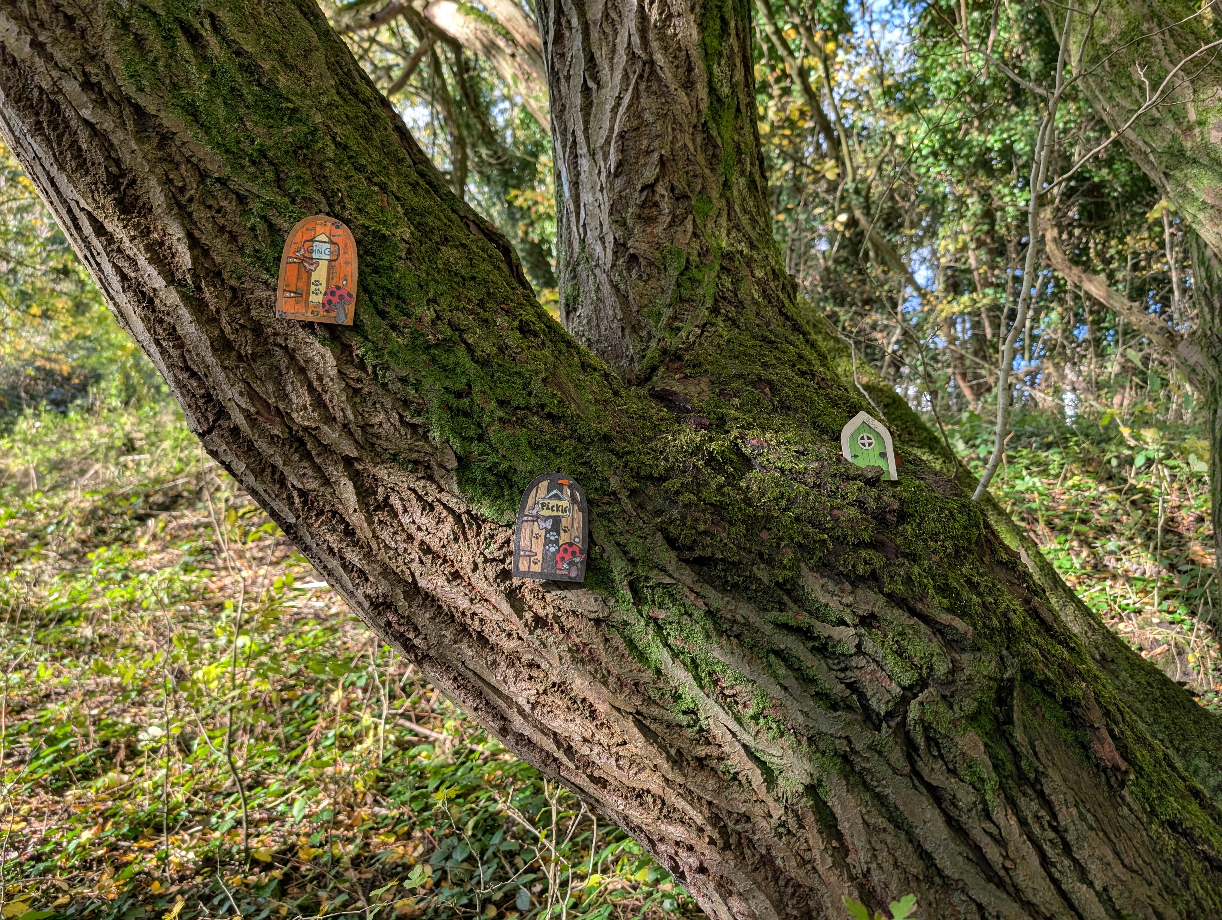 Entrance to the green space