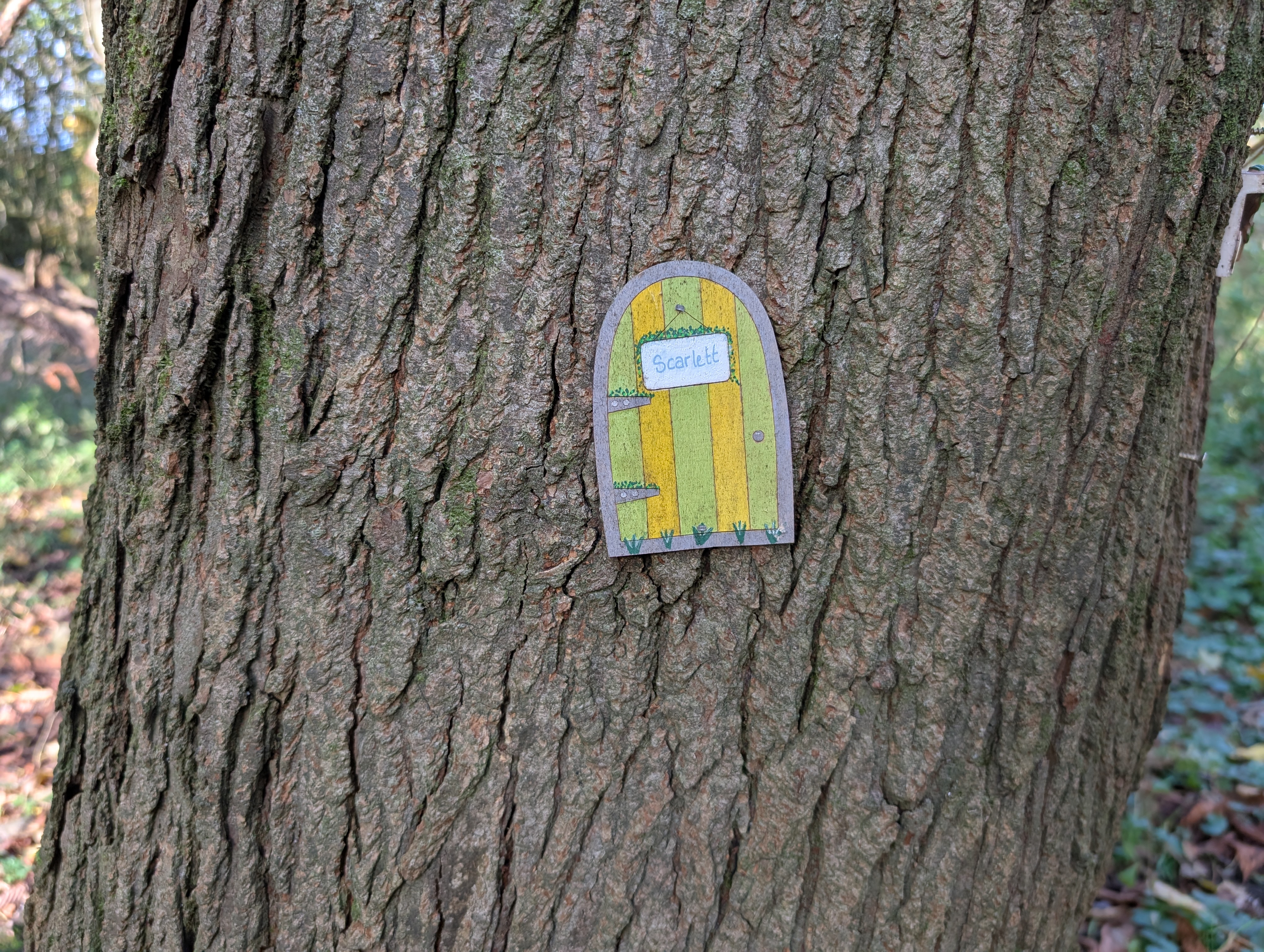 Shaded path under trees