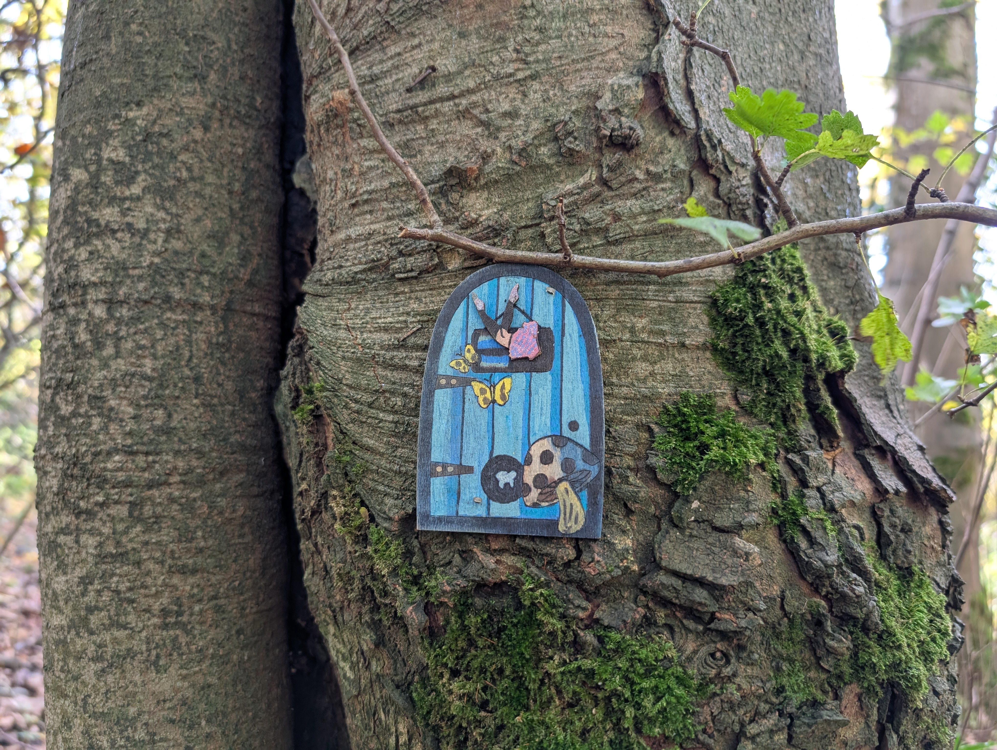 Rope swing hanging from a tree