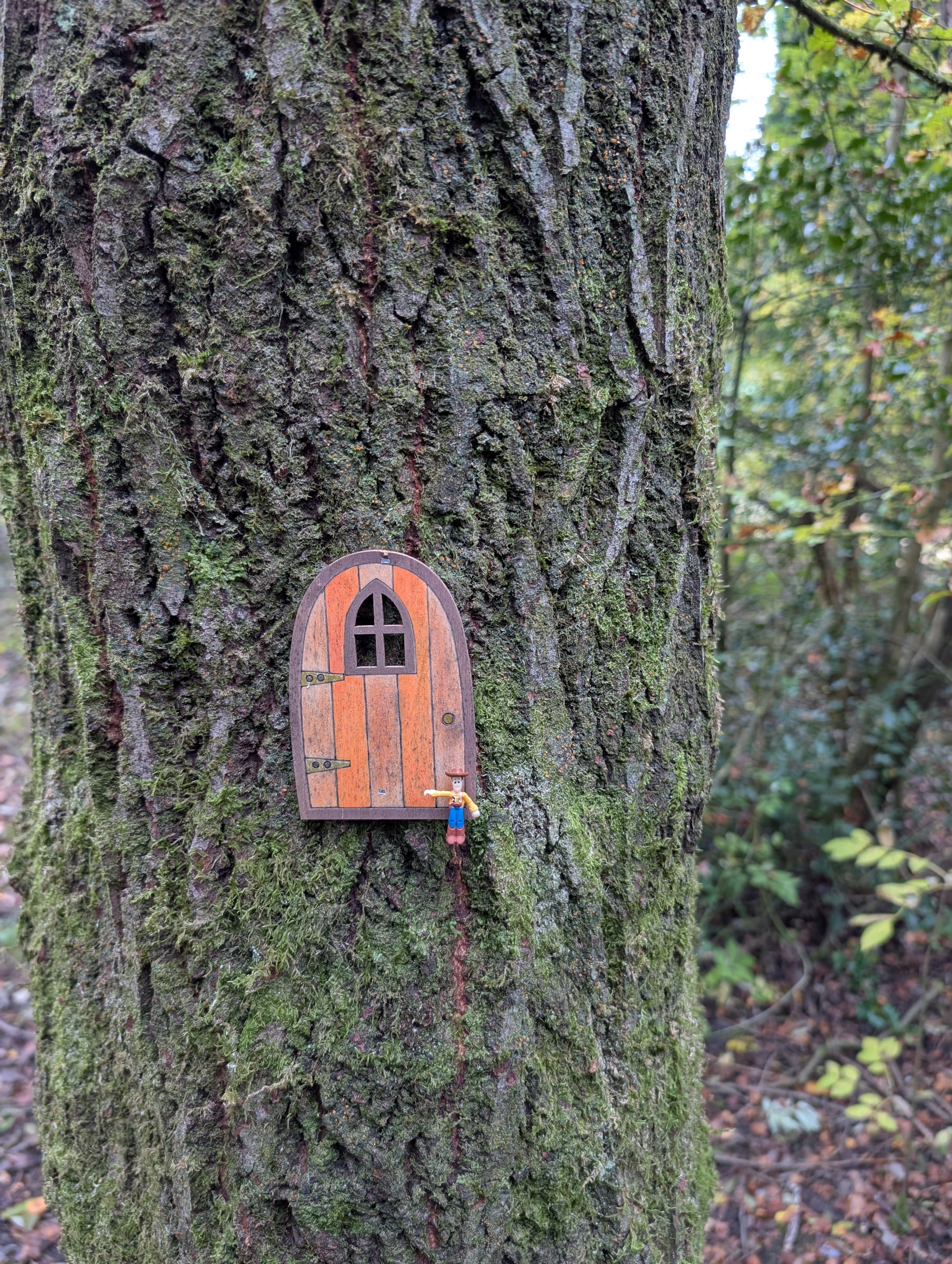 Rope swing hanging from a tree