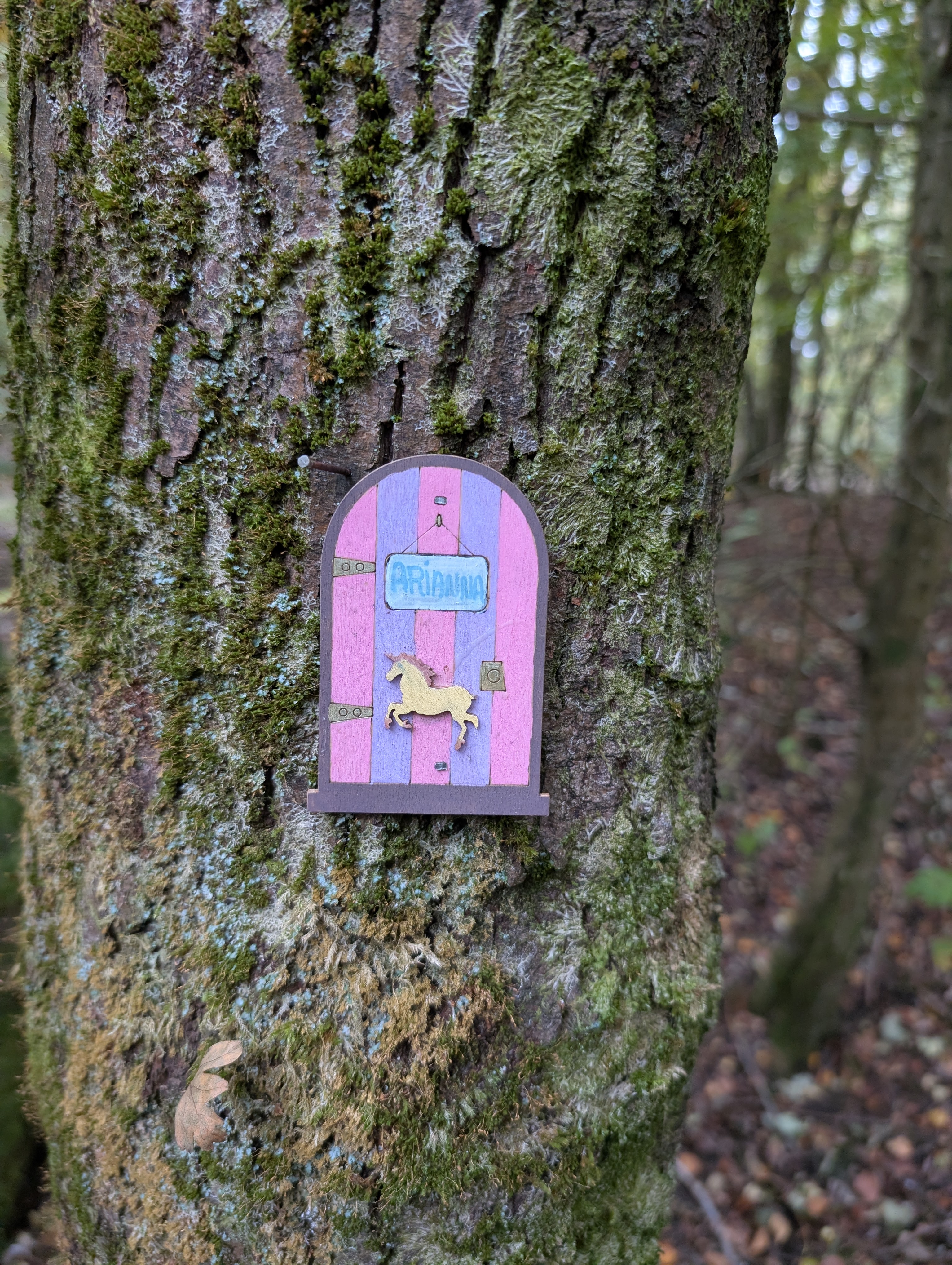 Rope swing hanging from a tree