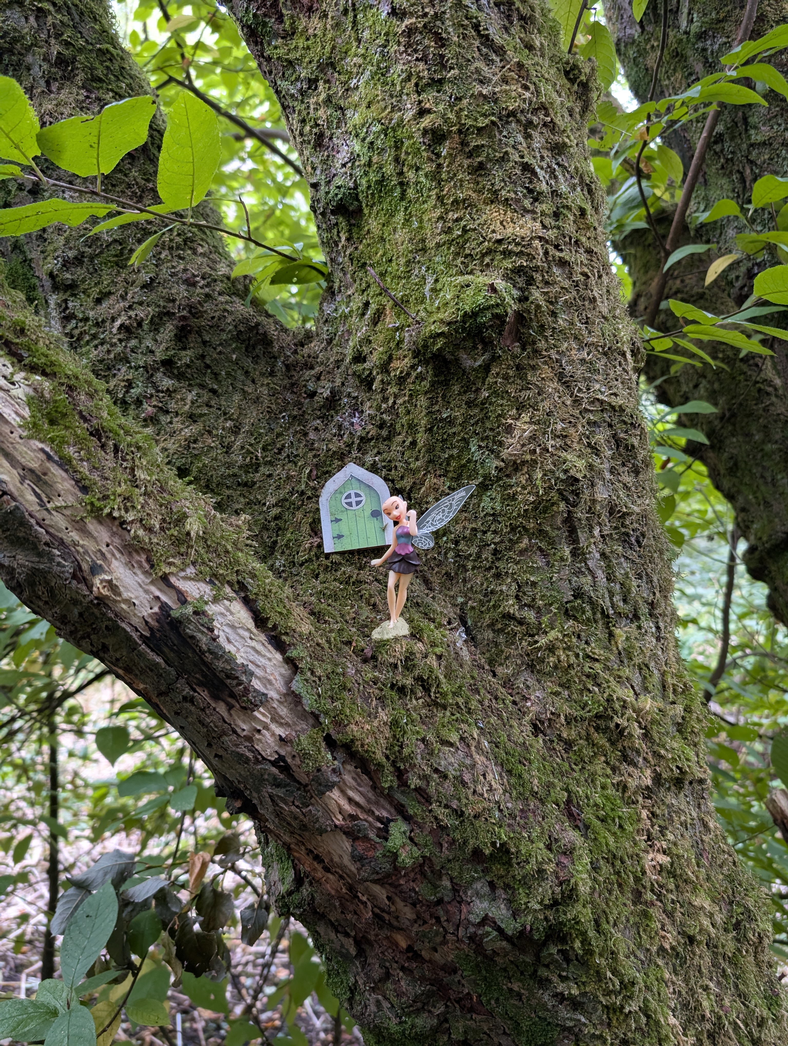 Entrance to the green space