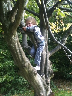 Community member experiences