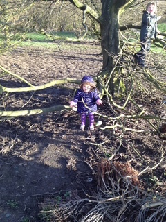 Community member experiences