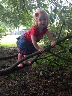 Community member experiences