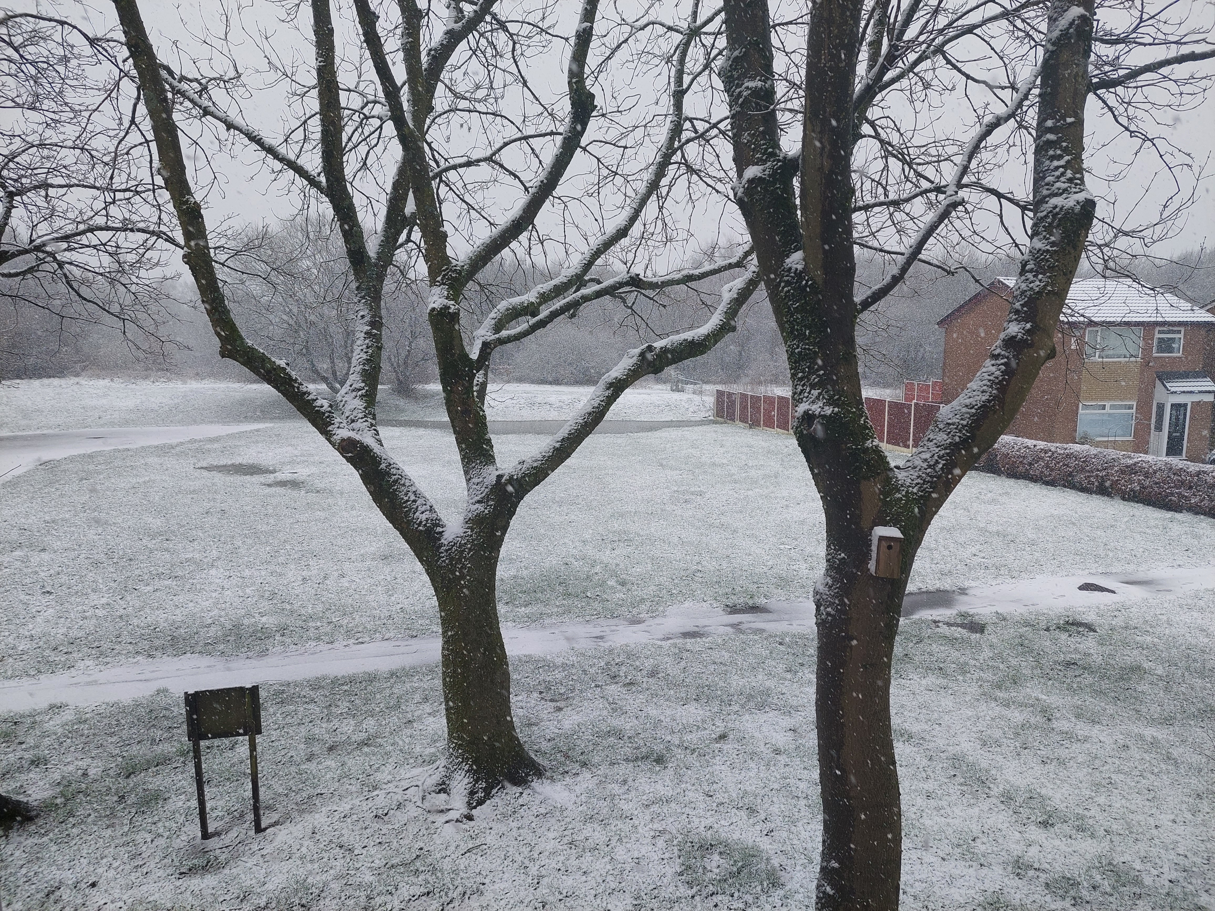 Community member experiences