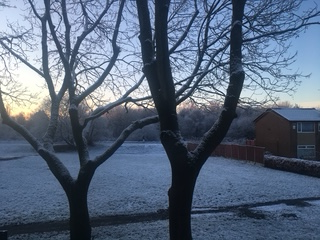 Community member experiences