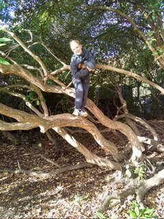 Community member experiences