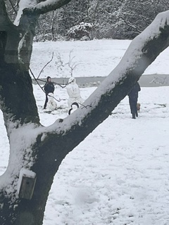 Community member experiences