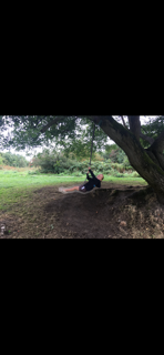 Community member experiences